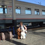Провоз собак Черногорск - Красноярск - Владивосток
